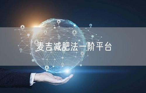 麦吉减肥法一阶平台