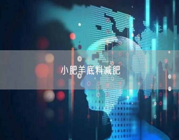 小肥羊底料减肥