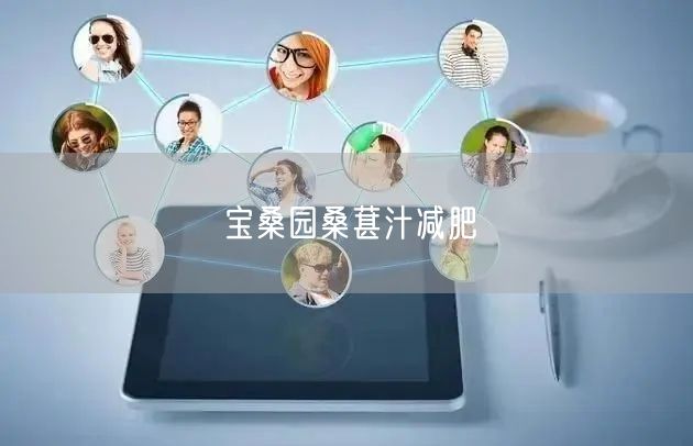 宝桑园桑葚汁减肥