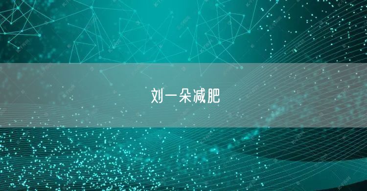 刘一朵减肥