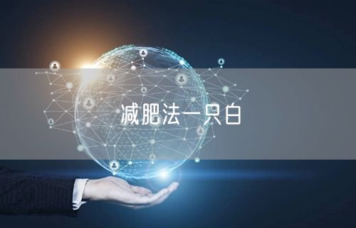减肥法一只白