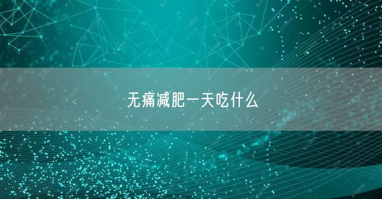 无痛减肥一天吃什么