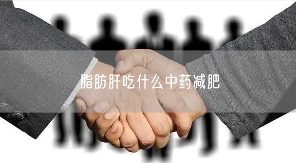 脂肪肝吃什么中药减肥