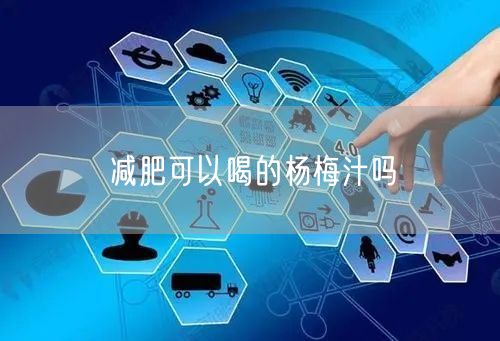 减肥可以喝的杨梅汁吗